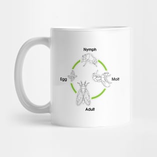 Life Cycle Of A Cicada Mug